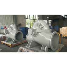 Slown Series of High Efficiency Double Suction Centrifugal Pump